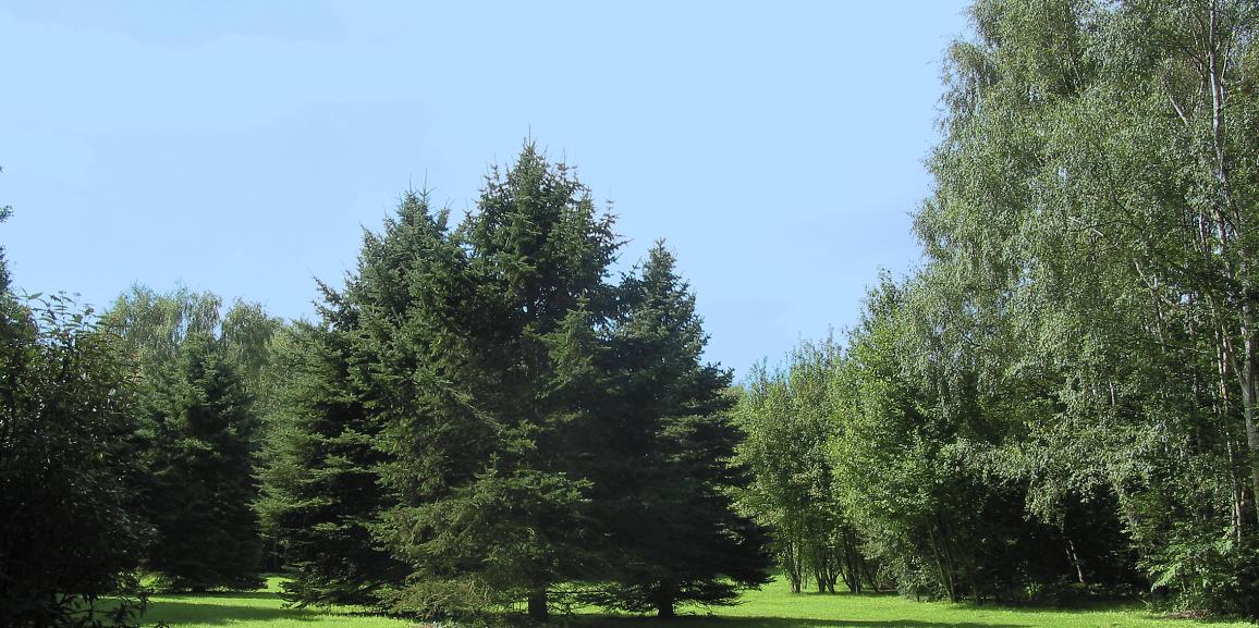 Minigolf im Kurpark in Bad Westernkotten
