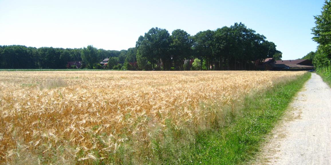 Appartement Bad Westernkotten